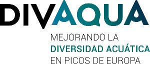 Logo DIVAQUA