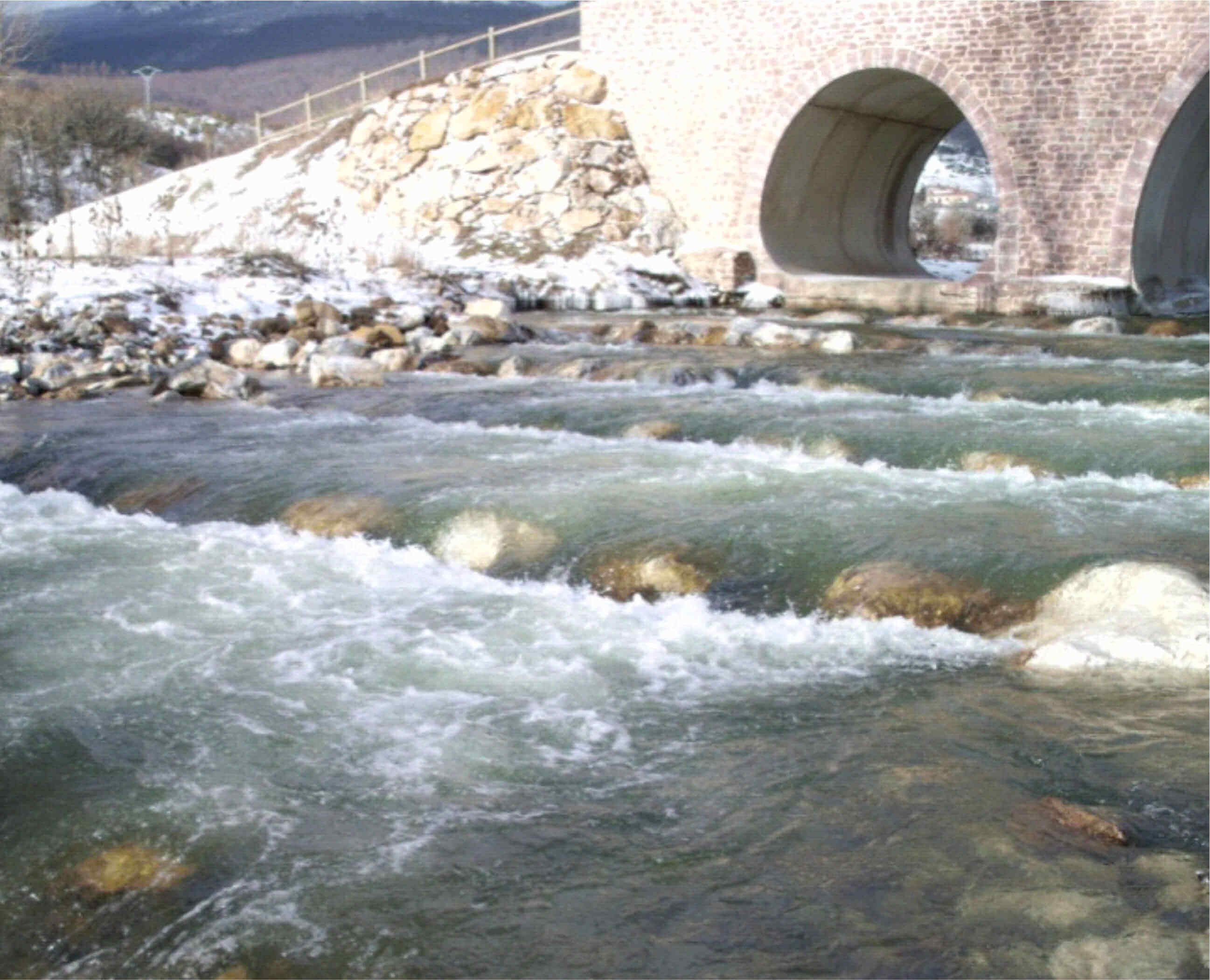 Rampa rápido-remanso en el río Pisuerga (San Salvador de Cantamuda, Palencia)